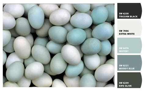 Robin's Egg Blue inspired color / Paint colors from Sherwin ... Blue ...