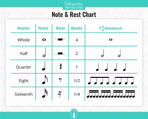 Violin Notes for Beginners - Violinspiration