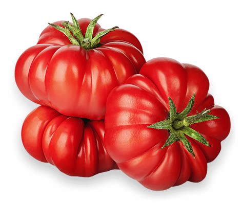 Heirloom Tomatoes | Lipman Family Farms