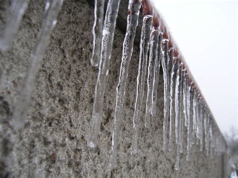 Free Images : water, branch, snow, winter, fence, frost, ice, close up, icicle, freezing, macro ...