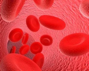 High Blood Iron Levels (Iron Overload) Causes, Symptoms, Treatment | Healthhype.com