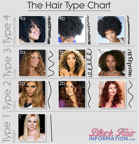 Hair Types Chart Men