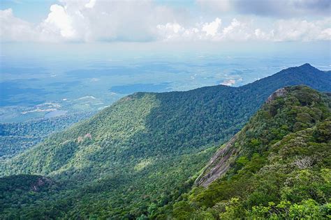 Gunung Ledang (Mount Ophir) | Ledang District | UPDATED July 2022 Top Tips Before You Go (with ...