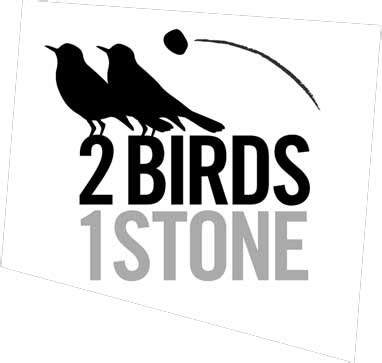 Kill Two Birds With One Stone - EVIL ENGLISH