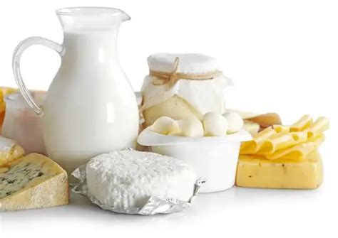 Dairy Equipment Manufacturers | Neologic Engineers