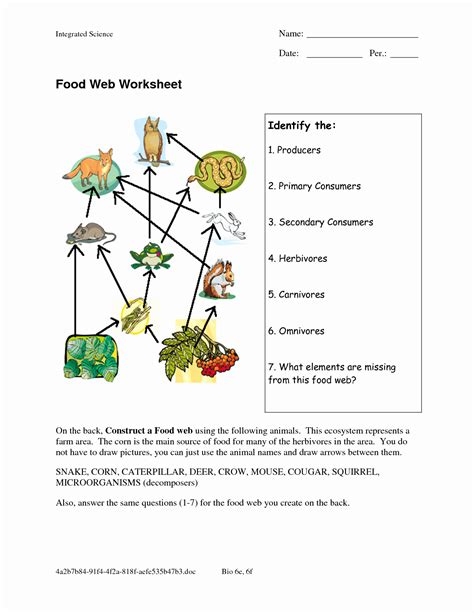 50 Food Web Worksheet High School