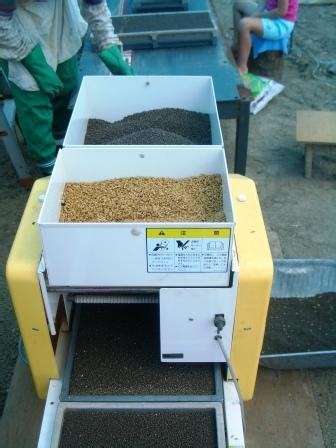 Life in Rural Japan: Rice seed planting