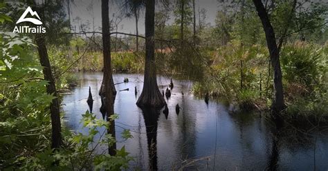 Best Trails near White Springs, Florida | AllTrails