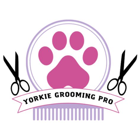 Yorkie Grooming Pro – Make Your Yorkie The Envy Of The Dog Park