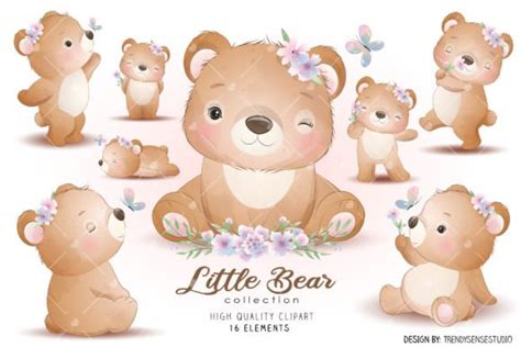 Little Bear Collection Clipart Graphic by TrendySenseStudio · Creative Fabrica