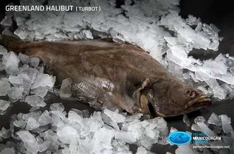 Canadian supplier of Greenland halibut and turbot - Pêcherie Manicouagan, Côte-Nord, Québec