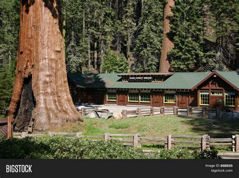 Giant Forest Museum Image & Photo (Free Trial) | Bigstock