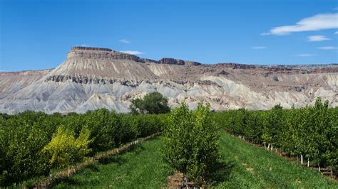 Stan's Travels: Palisade & Colorado National Monument (7/17/2016)