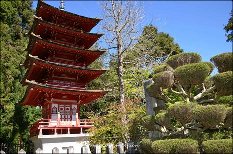 Photo Japanese Tea Garden