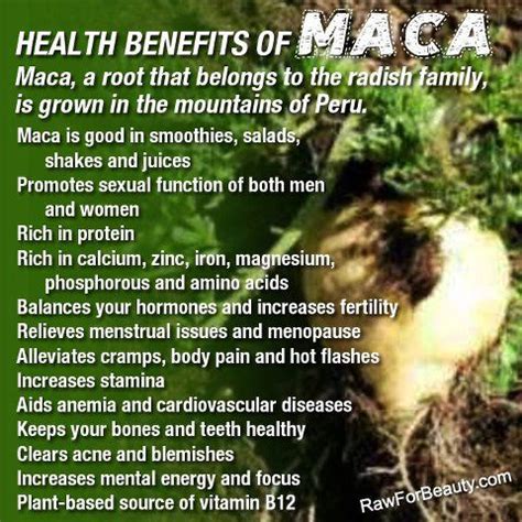 Natural Cures Not Medicine: Health benefits of maca