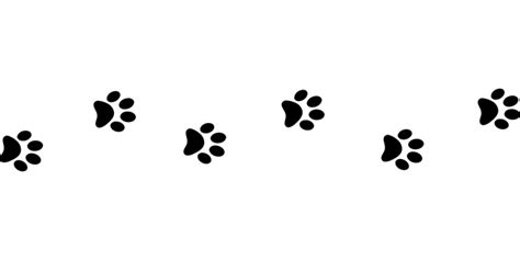 Line Of Paw Prints transparent PNG - StickPNG