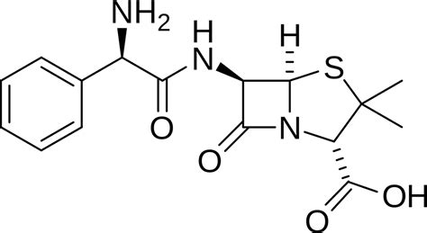 Aminopenicillin - Wikiwand