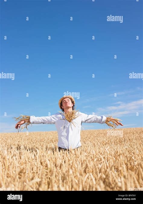 scarecrow in wheat field Stock Photo - Alamy