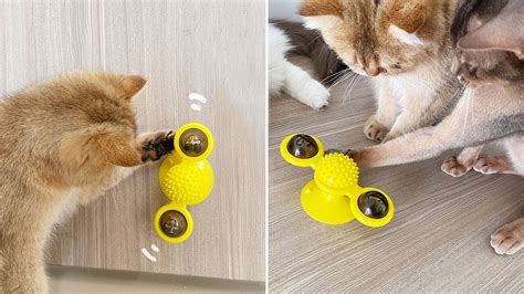 Best Interactive Cat Toys Windmill Cat Toy Review 2020 - YouTube