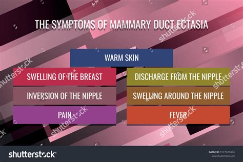 Symptoms Mammary Duct Ectasia Vector Illustration: เวกเตอร์สต็อก (ปลอด ...