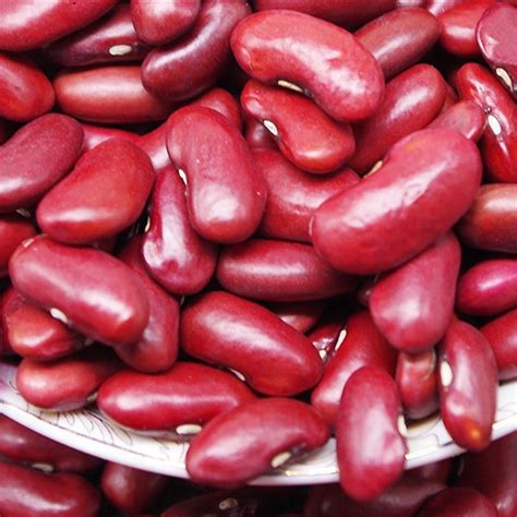 Wholesale Dried Dark Red Kidney Beans - China High Quality Red Kidney Beans and Cheap Red Kidney ...