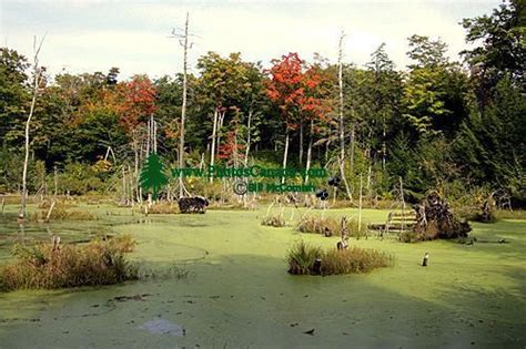 PhotosCanada.com Gallery :: Gatineau Park Photos, Ottawa, Canada’s ...