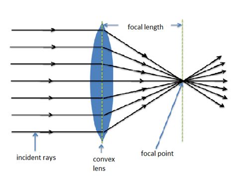 uses of convex lens - Overview, Structure, Properties & Uses