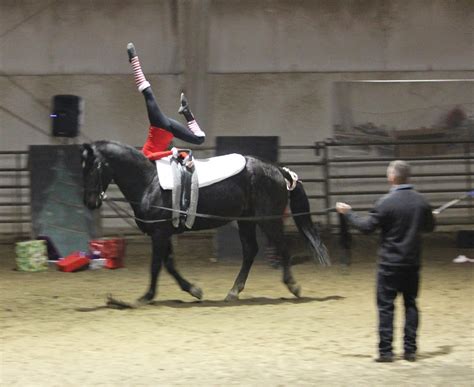 Technique Equestrian Vaulting Club: 2014