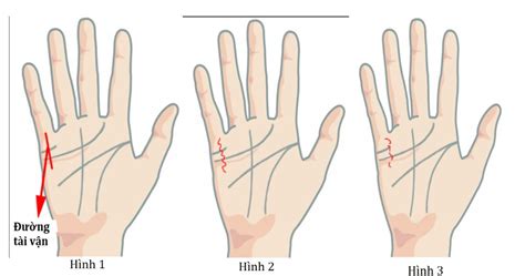 Xem chỉ tay là gì? Cách xem chỉ tay và có nên tin vào kết quả? - Vua Nệm