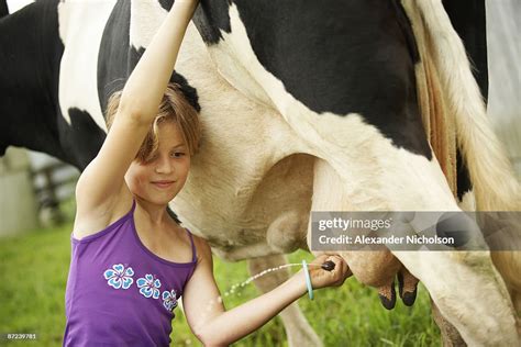 Young Girl Learning To Milk Cow High-Res Stock Photo - Getty Images