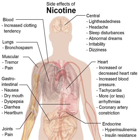 What Are The Negative Long Term Effects Related To Smoking?