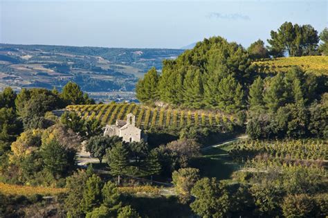 A Charming Appellation-Gigondas – SAHMmelier