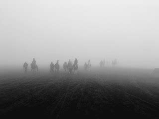 Horses from the Fog | Sea of Sand shrouded in mist around Mo… | Not So Dusty | Flickr