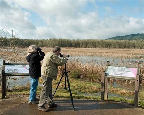 Free picture: birdwatching