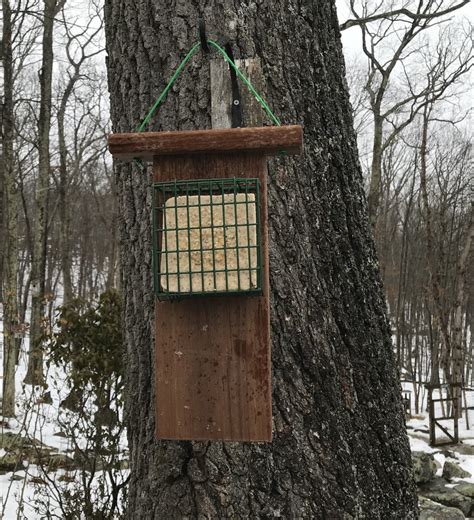 How to Make a Suet Cake Bird Feeder With a Tail Prop for Woodpeckers ...