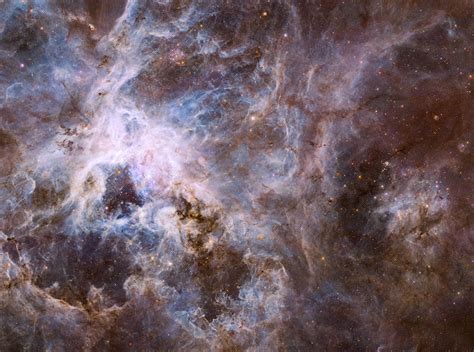 ESA Science & Technology: Hubble optical view of the Tarantula Nebula