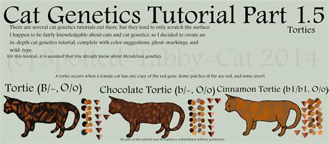 Cat Genetics Tutorial Part 1.5 (Torties) by Spotted-Tabby-Cat on DeviantArt