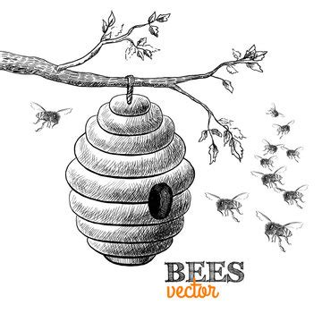 Beehive Tree Drawing