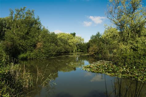 Long pond fishing lake | I was walking around my father-inla… | Flickr