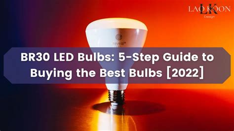 BR30 LED Bulbs: 5-Step Guide to Buying the Best Bulbs [2023] – Laokoon ...