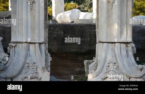 china beijing yuanmingyuan,history legacy wreckage,royal garden pillars ...