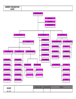 nims ics organizational chart - Jo Walter Storyteller