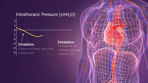 Intrathoracic Pressure Regulation (IPR) Therapy - YouTube