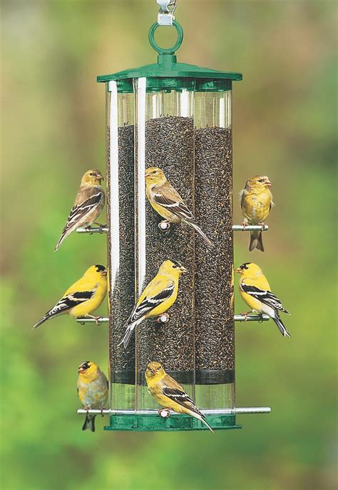 The Best Finch Feeders to Serve Thistle Seed - Birds and Blooms