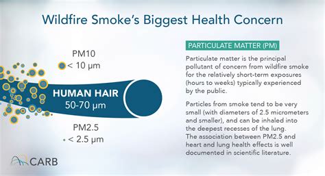 Protecting Yourself from Wildfire Smoke | California Air Resources Board