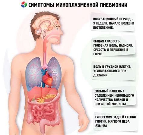 Mycoplasma pneumonia: symptoms, diagnosis, treatment