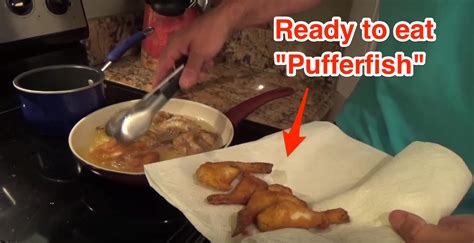 How To Catch, Clean, And Cook Pufferfish [VIDEO]