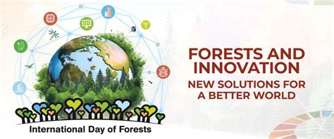 International Day of Forests 2024 – African Forest Forum