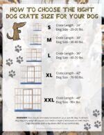 Dog Crate Sizes: Which One is Right for My Pet? - The Novice Homestead