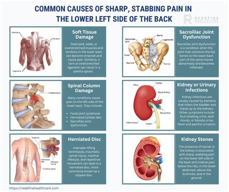 Sharp Stabbing Pain in the Lower Left Side of the Back - NJ's Top Orthopedic Spine & Pain ...